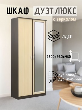 Шкаф 2-х створчатый Дуэт Люкс с зеркалом в Южноуральске - yuzhnouralsk.mebel24.online | фото