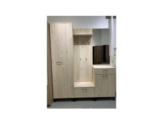 Шкаф для одежды 2-х дверный София 1 в Южноуральске - yuzhnouralsk.mebel24.online | фото 6