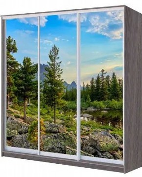 Шкаф-купе ХИТ 22-20/2-777 ПРИРОДА в Южноуральске - yuzhnouralsk.mebel24.online | фото