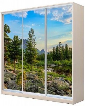 Шкаф-купе ХИТ 22-20-777 ПРИРОДА в Южноуральске - yuzhnouralsk.mebel24.online | фото