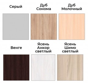 Шкаф-купе ХИТ 22-4-14-11 (420) в Южноуральске - yuzhnouralsk.mebel24.online | фото 5