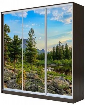 Шкаф-купе ХИТ 23-4-18-777 ПРИРОДА в Южноуральске - yuzhnouralsk.mebel24.online | фото