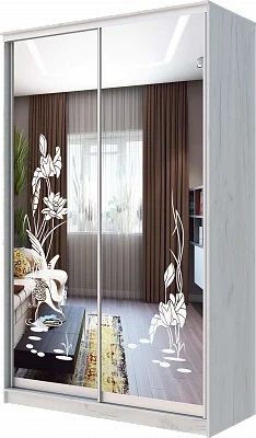 Шкаф-купе ХИТ 24-14-66 ЦАПЛИ в Южноуральске - yuzhnouralsk.mebel24.online | фото