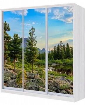 Шкаф-купе ХИТ 24-18/2-777 ПРИРОДА в Южноуральске - yuzhnouralsk.mebel24.online | фото