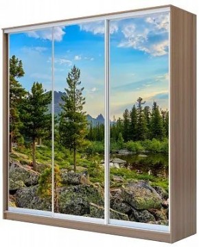 Шкаф-купе ХИТ 24-20/2-777 ПРИРОДА в Южноуральске - yuzhnouralsk.mebel24.online | фото