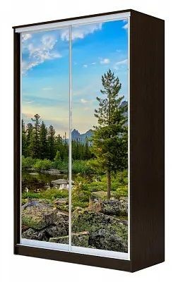 Шкаф-купе ХИТ 24-4-12/2-77 ПРИРОДА в Южноуральске - yuzhnouralsk.mebel24.online | фото