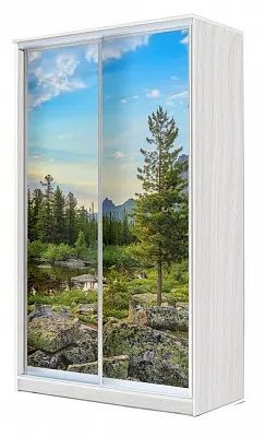Шкаф-купе ХИТ 24-4-15-77 ПРИРОДА в Южноуральске - yuzhnouralsk.mebel24.online | фото