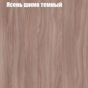 Шкаф-купе «ТАНДЕМ» 2-х дверный в алюминиевом профиле (Дверь К+К) 1800/h2200 в Южноуральске - yuzhnouralsk.mebel24.online | фото 7
