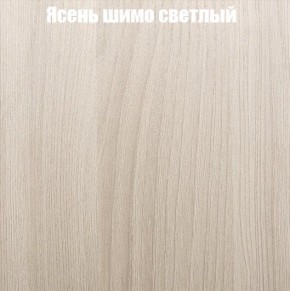 Шкаф-купе «ТАНДЕМ» 2-х дверный в алюминиевом профиле (Дверь ЛДСП+Z) 1800/h2200 в Южноуральске - yuzhnouralsk.mebel24.online | фото 6