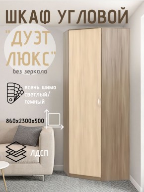 Шкаф угловой Дуэт Люкс без зеркала в Южноуральске - yuzhnouralsk.mebel24.online | фото 7