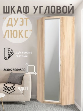 Шкаф угловой Дуэт Люкс с зеркалом в Южноуральске - yuzhnouralsk.mebel24.online | фото