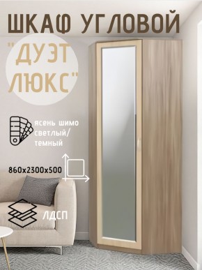 Шкаф угловой Дуэт Люкс с зеркалом в Южноуральске - yuzhnouralsk.mebel24.online | фото 3