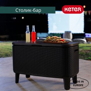 Стол Беви Бар (Bevy Bar Large Cool Bar), коричневый в Южноуральске - yuzhnouralsk.mebel24.online | фото 4