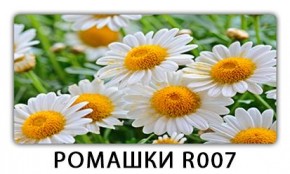 Стол раздвижной Трилогия с фотопечатью Ромашки R007 в Южноуральске - yuzhnouralsk.mebel24.online | фото 15