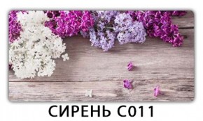Стол раздвижной Трилогия с фотопечатью Ромашки R007 в Южноуральске - yuzhnouralsk.mebel24.online | фото 16