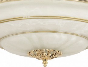 Светильник на штанге Arti Lampadari Pavia Pavia E 1.13.P40 G в Южноуральске - yuzhnouralsk.mebel24.online | фото 3