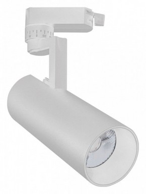 Светильник на штанге Escada 20029 20029TRA/02LED SWH в Южноуральске - yuzhnouralsk.mebel24.online | фото