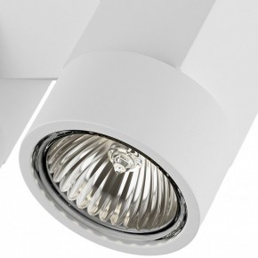 Светильник на штанге Lightstar Illumo X2 051036 в Южноуральске - yuzhnouralsk.mebel24.online | фото 2