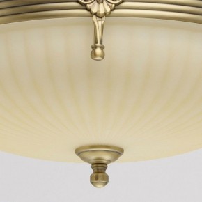 Светильник на штанге MW-Light Афродита 1 317011504 в Южноуральске - yuzhnouralsk.mebel24.online | фото 4