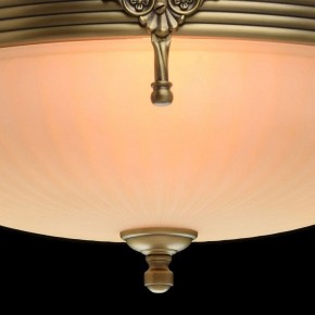 Светильник на штанге MW-Light Афродита 1 317011504 в Южноуральске - yuzhnouralsk.mebel24.online | фото 5