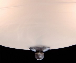 Светильник на штанге MW-Light Аида 11 323012603 в Южноуральске - yuzhnouralsk.mebel24.online | фото 8
