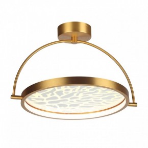 Светильник на штанге Odeon Light Solaris 6627/36CL в Южноуральске - yuzhnouralsk.mebel24.online | фото 3