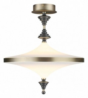Светильник на штанге Odeon Light Ula 5404/43CL в Южноуральске - yuzhnouralsk.mebel24.online | фото 2