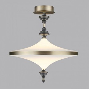 Светильник на штанге Odeon Light Ula 5404/43CL в Южноуральске - yuzhnouralsk.mebel24.online | фото 3