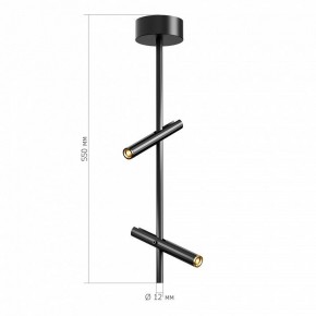 Светильник на штанге ST-Luce LILT SL6210.403.02 в Южноуральске - yuzhnouralsk.mebel24.online | фото 3