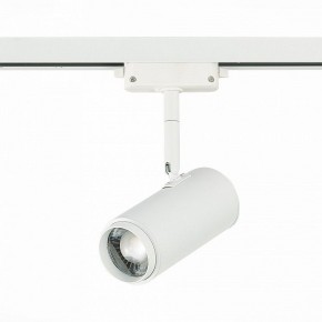 Светильник на штанге ST-Luce Zoom ST600.546.12 в Южноуральске - yuzhnouralsk.mebel24.online | фото 3