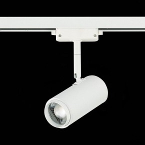 Светильник на штанге ST-Luce Zoom ST600.546.12 в Южноуральске - yuzhnouralsk.mebel24.online | фото 5