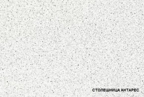 ТЕХНО-5 Кухонный гарнитур угловой 3,2*2,24 м в Южноуральске - yuzhnouralsk.mebel24.online | фото 3