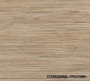 ТОМИЛЛА Кухонный гарнитур Прайм 4 (900*2000 мм ) в Южноуральске - yuzhnouralsk.mebel24.online | фото 6