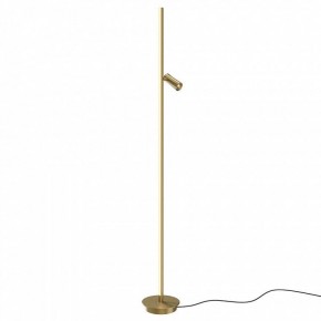 Торшер Maytoni Thin MOD395FL-L28BS3K в Южноуральске - yuzhnouralsk.mebel24.online | фото