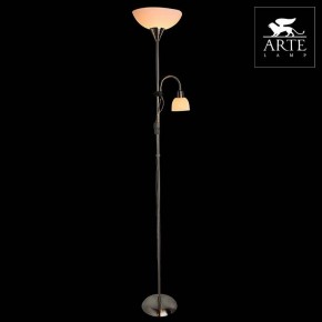 Торшер с подсветкой Arte Lamp Duetto A9569PN-2SS в Южноуральске - yuzhnouralsk.mebel24.online | фото 3