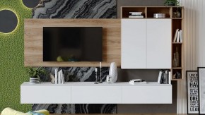 Тумба под ТВ Порто ТД-393.03.12 в Южноуральске - yuzhnouralsk.mebel24.online | фото 6