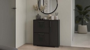 Тумбочка для обуви Тип 15 в Южноуральске - yuzhnouralsk.mebel24.online | фото 5