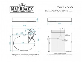 Умывальник над стиральной машиной (600*545*80) Смайл V55D1 (белый) с кронштейном без сифона (V55D1) в Южноуральске - yuzhnouralsk.mebel24.online | фото 2