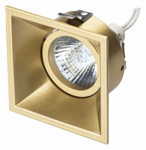 Встраиваемый светильник Lightstar Domino 214503 в Южноуральске - yuzhnouralsk.mebel24.online | фото 2